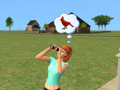 sims 2 challenges